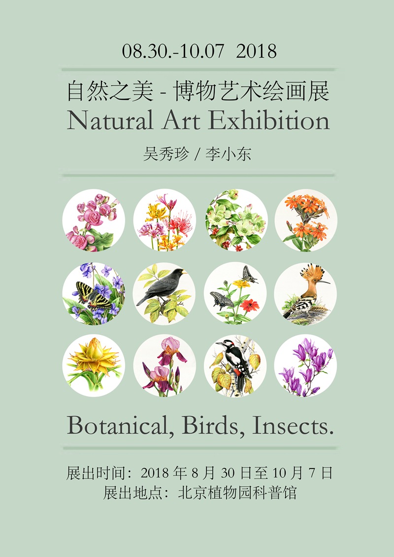 北京植物园手绘自然原画展
